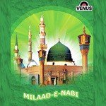 Payam Sayeedi Songs MP3 Download